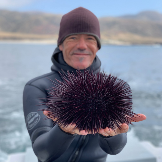 diver holding an urchin