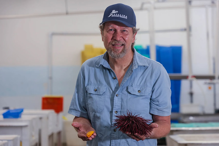 Dave Rudie holding an open sea urchin