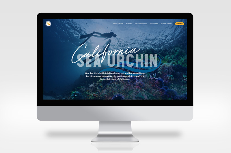 the new california urchin website